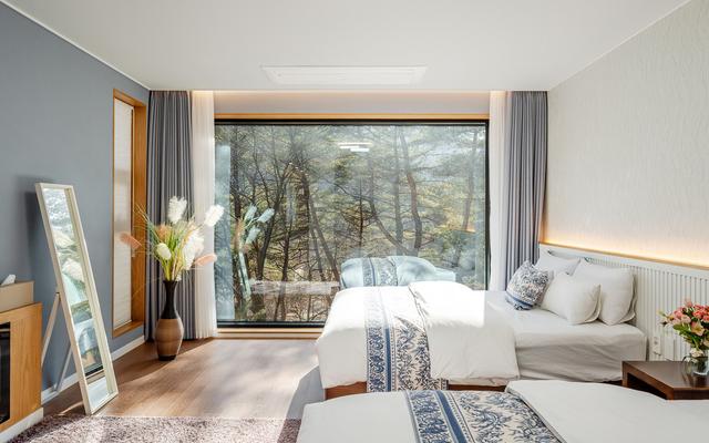 원주 힐링포레스트