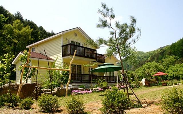평창 비우고채우는숲펜션