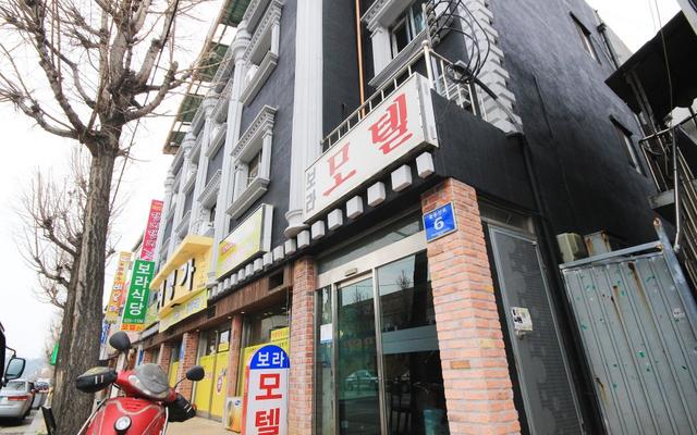 영주 보라