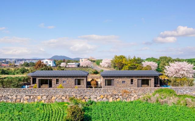 서귀포 표선돌담집