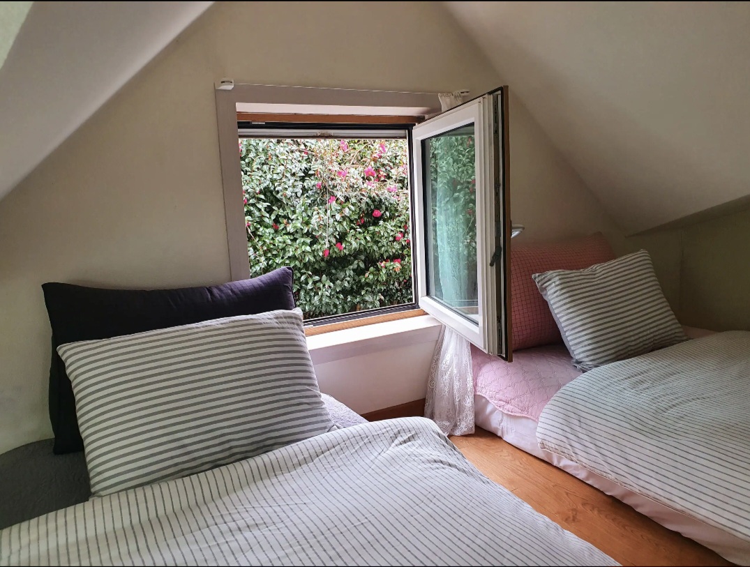 제주 유수암레몬하우스 이미지1