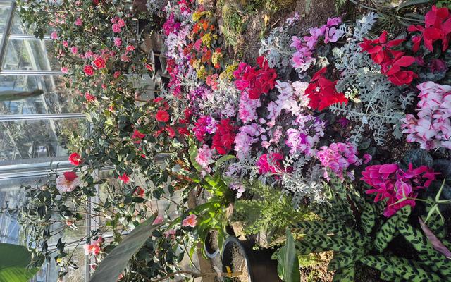 리뷰 대표 이미지