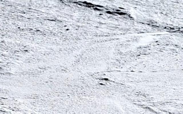 리뷰 대표 이미지