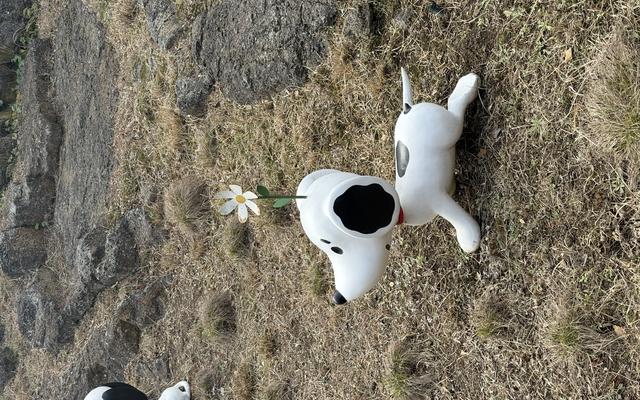 리뷰 대표 이미지