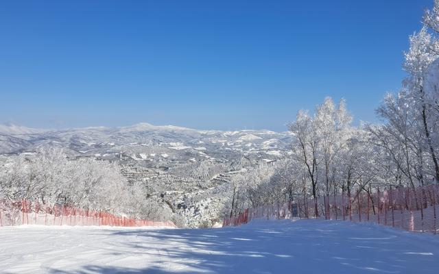 리뷰 대표 이미지