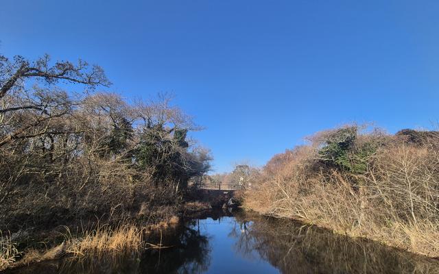 리뷰 대표 이미지