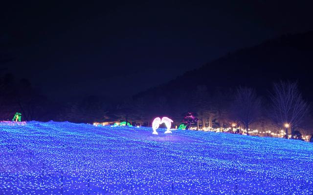 리뷰 대표 이미지