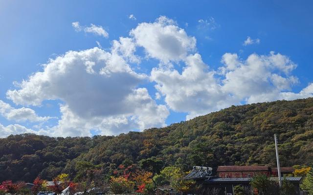 천안 위례성캠핑장