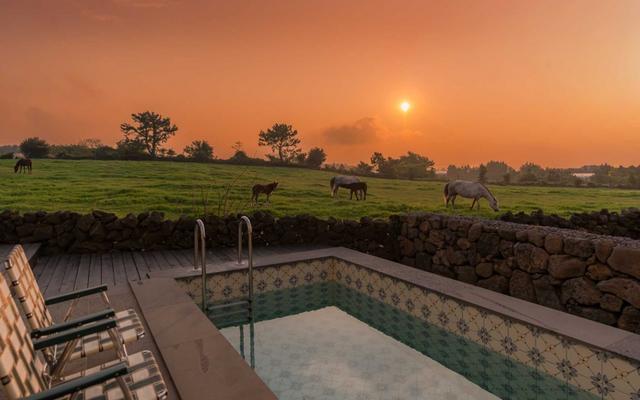 제주 봉성노을담 풀빌라