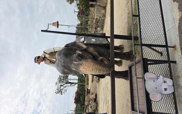 리뷰 대표 이미지