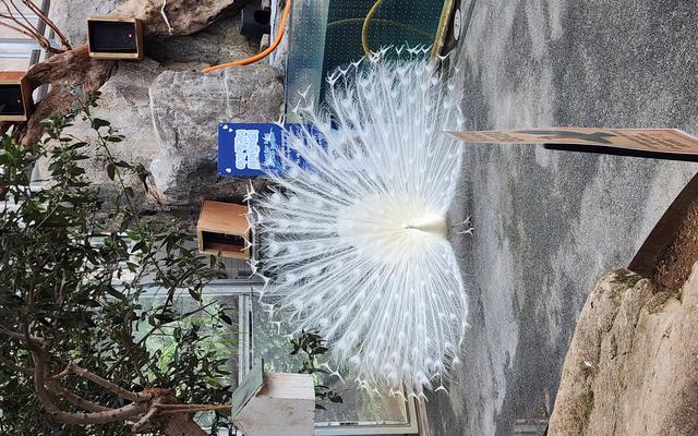 리뷰 대표 이미지