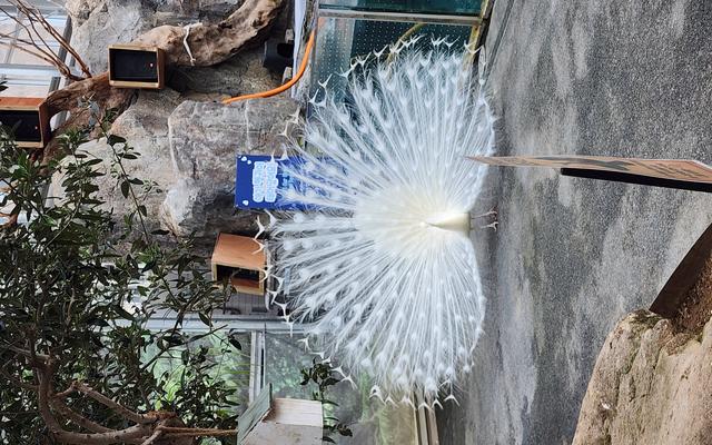 리뷰 대표 이미지