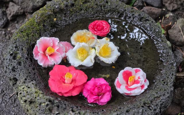 리뷰 대표 이미지