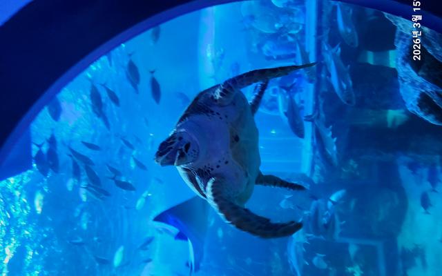 리뷰 대표 이미지