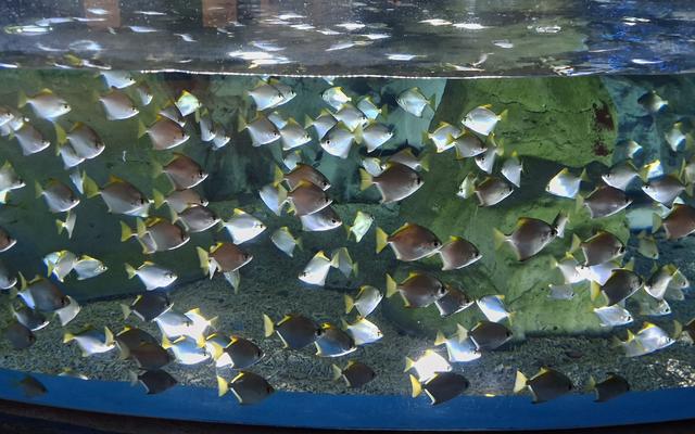 리뷰 대표 이미지