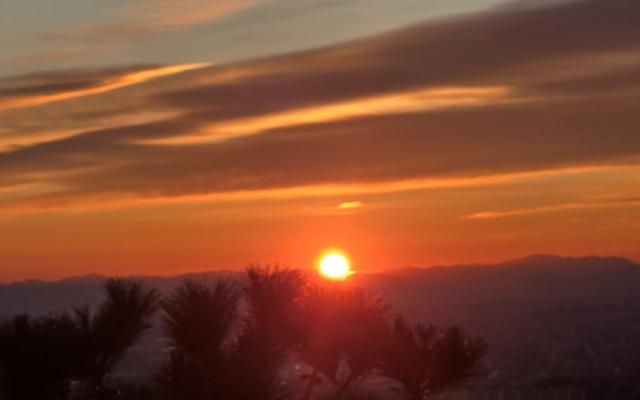 리뷰 대표 이미지