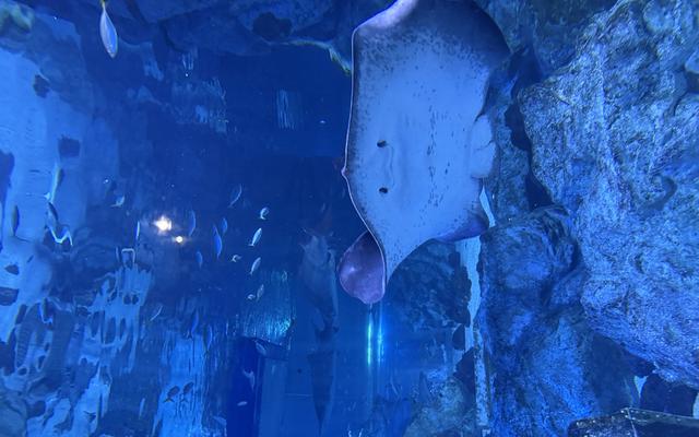 리뷰 대표 이미지