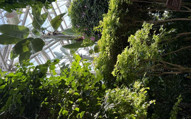 리뷰 대표 이미지