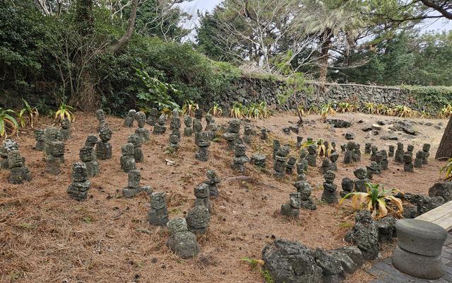 리뷰 대표 이미지