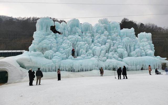 리뷰 대표 이미지