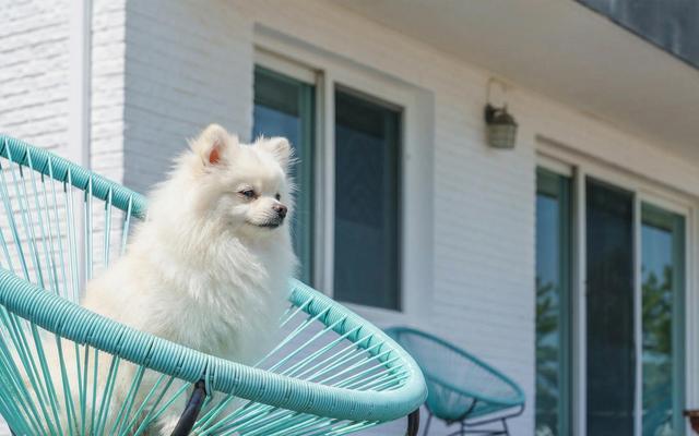 양양 해뜨는바다 오션뷰 펜션