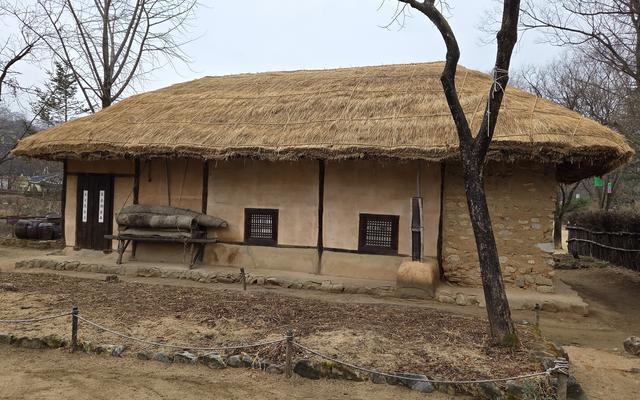 리뷰 대표 이미지