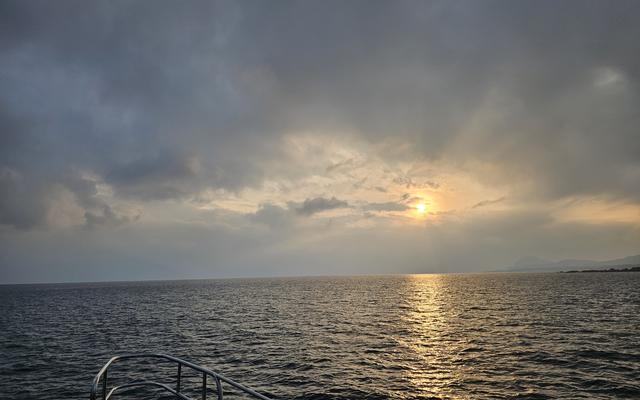 리뷰 대표 이미지