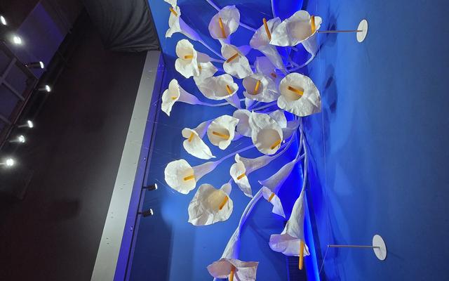 리뷰 대표 이미지