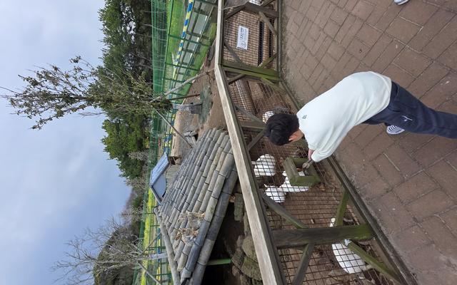 리뷰 대표 이미지