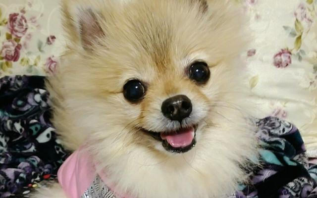 리뷰 대표 이미지