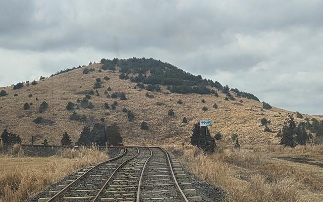 리뷰 대표 이미지