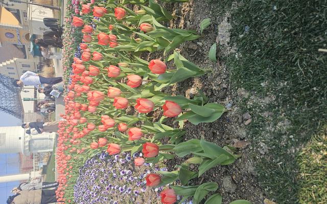 리뷰 대표 이미지