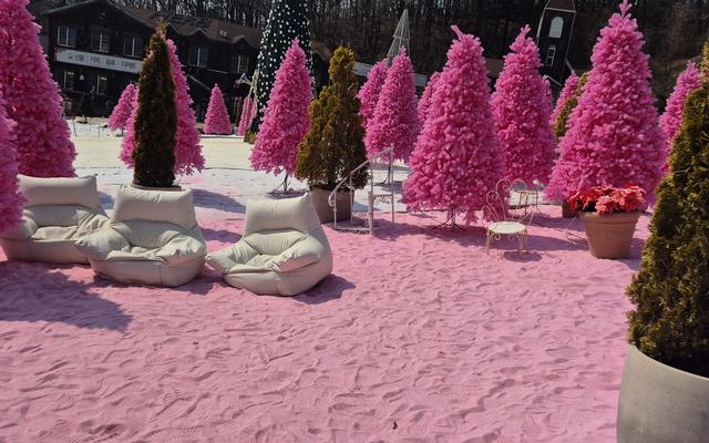 리뷰 대표 이미지