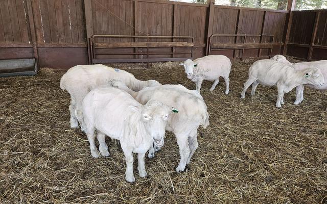 리뷰 대표 이미지