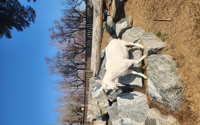 리뷰 대표 이미지