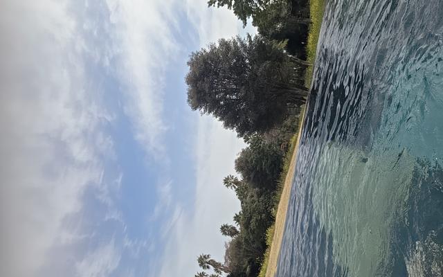 리뷰 대표 이미지