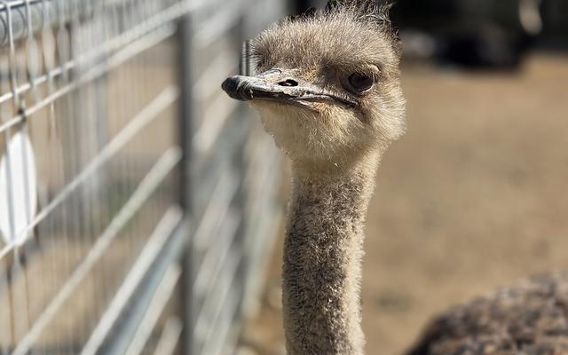 리뷰 대표 이미지