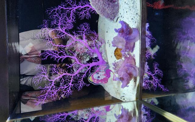 리뷰 대표 이미지