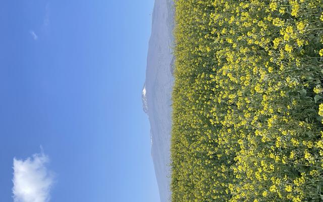 리뷰 대표 이미지