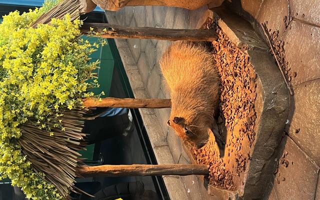 리뷰 대표 이미지