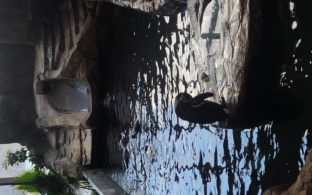 리뷰 대표 이미지