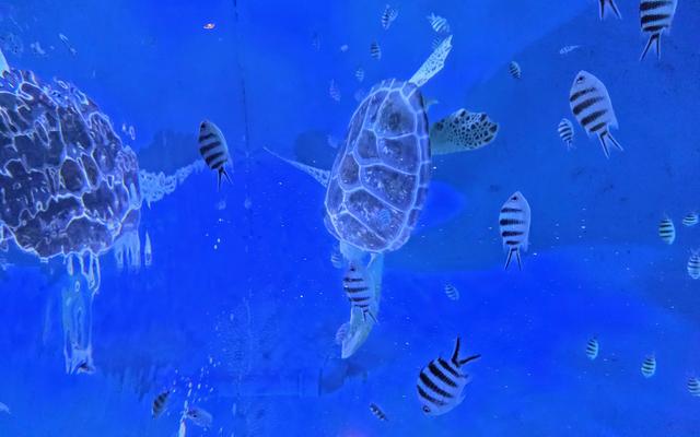 리뷰 대표 이미지