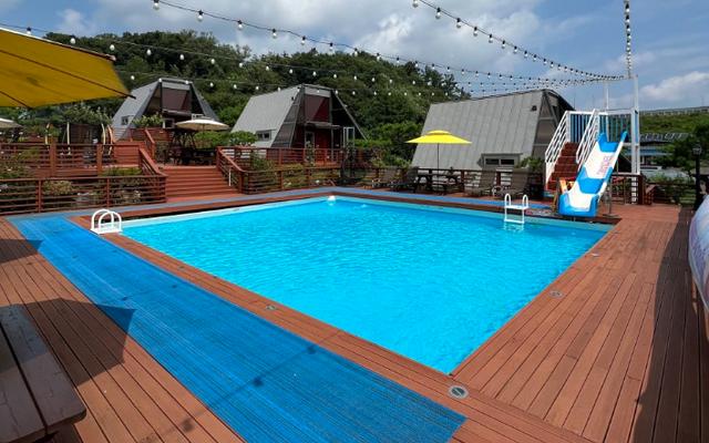 용인 세모난나무