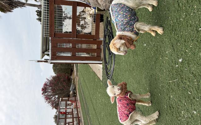 리뷰 대표 이미지