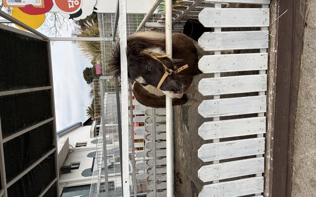 리뷰 대표 이미지