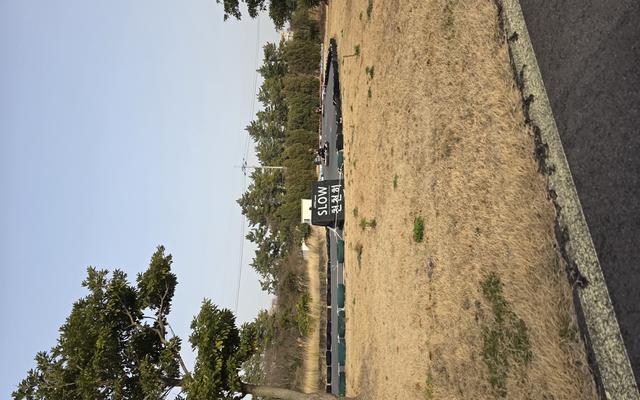 리뷰 대표 이미지