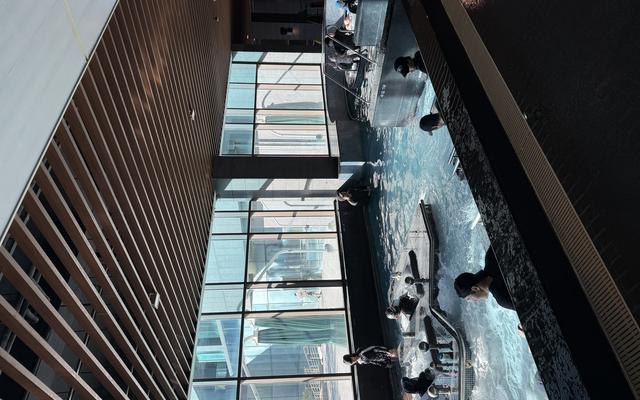 리뷰 대표 이미지