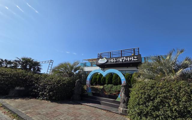 리뷰 대표 이미지