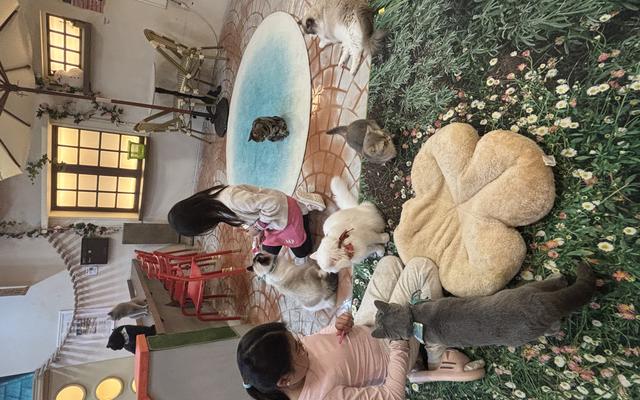 리뷰 대표 이미지