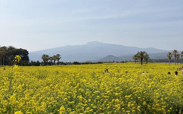 리뷰 대표 이미지